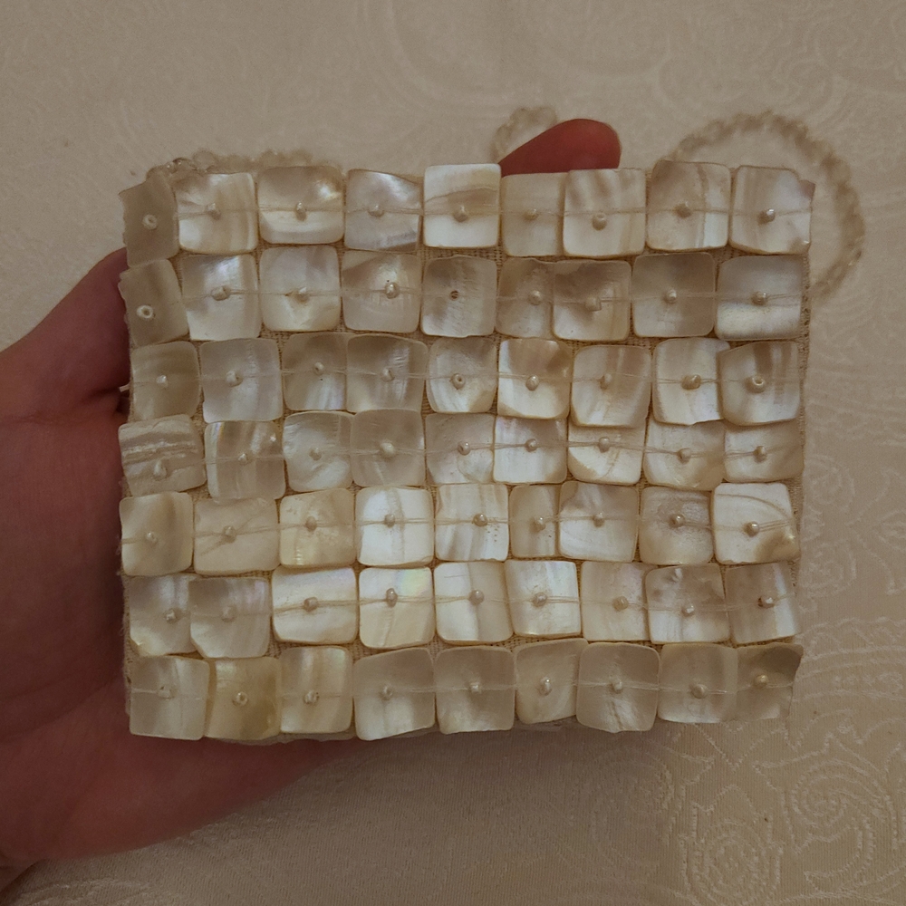 Unique Abalone Shell Mini Purse With Beaded Shoulder Strap